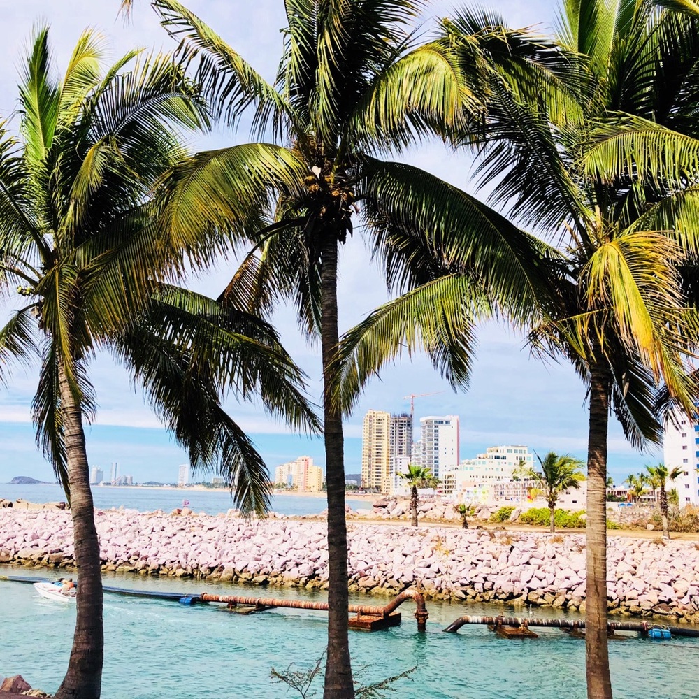 Meet your Posher, Carolyn